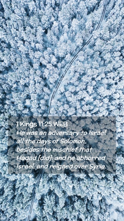 Picture 02 - 1 Kings 11:25 WEB Mobile Phone Wallpaper - He was an adversary to Israel all the days of - Mobile Bible Verse Wallpaper