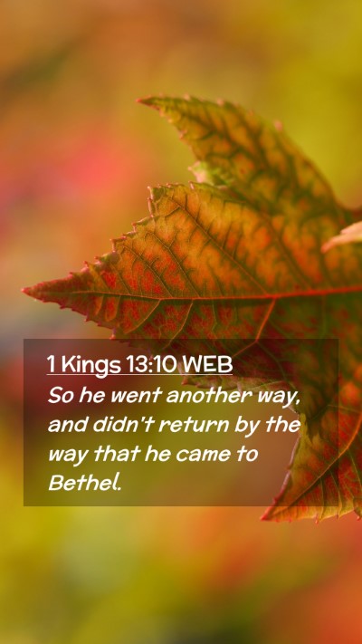 Picture 02 - 1 Kings 13:10 WEB Mobile Phone Wallpaper - So he went another way, and didn't return by the - Mobile Bible Verse Wallpaper