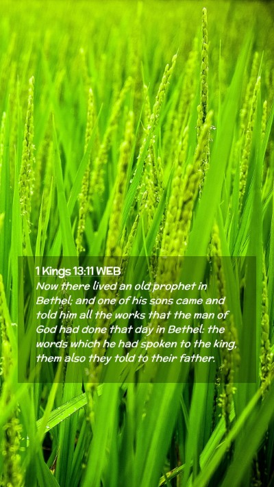 Picture 02 - 1 Kings 13:11 WEB Mobile Phone Wallpaper - Now there lived an old prophet in Bethel; and one - Mobile Bible Verse Wallpaper