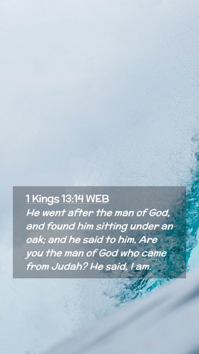 Picture 02 - 1 Kings 13:14 WEB Mobile Phone Wallpaper - He went after the man of God, and found him - Mobile Bible Verse Wallpaper
