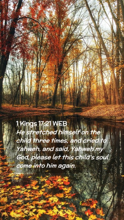 Picture 02 - 1 Kings 17:21 WEB Mobile Phone Wallpaper - He stretched himself on the child three times, - Mobile Bible Verse Wallpaper