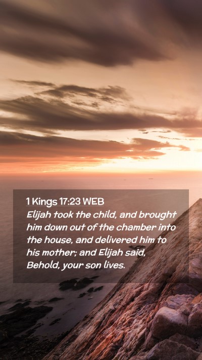 Picture 02 - 1 Kings 17:23 WEB Mobile Phone Wallpaper - Elijah took the child, and brought him down out - Mobile Bible Verse Wallpaper