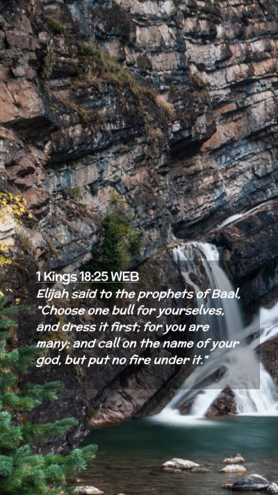 Picture 02 - 1 Kings 18:25 WEB Mobile Phone Wallpaper - Elijah said to the prophets of Baal, 