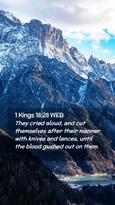 Picture 02 - 1 Kings 18:28 WEB Mobile Phone Wallpaper - They cried aloud, and cut themselves after their - Mobile Bible Verse Wallpaper