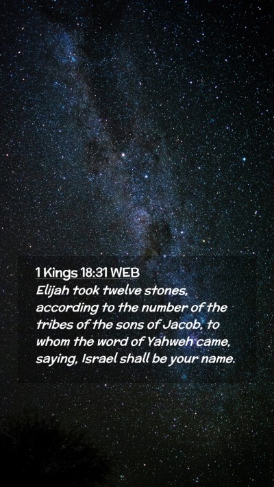 Picture 02 - 1 Kings 18:31 WEB Mobile Phone Wallpaper - Elijah took twelve stones, according to the - Mobile Bible Verse Wallpaper