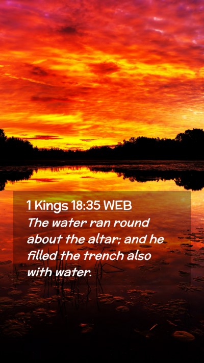 Picture 02 - 1 Kings 18:35 WEB Mobile Phone Wallpaper - The water ran round about the altar; and he - Mobile Bible Verse Wallpaper