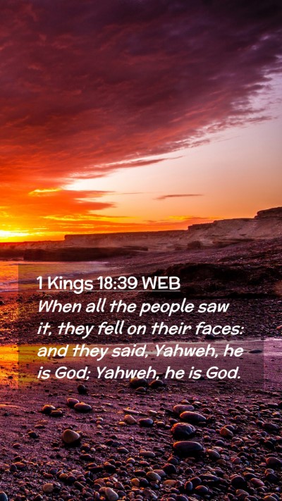 Picture 02 - 1 Kings 18:39 WEB Mobile Phone Wallpaper - When all the people saw it, they fell on their - Mobile Bible Verse Wallpaper