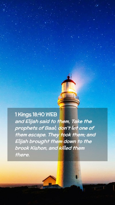 Picture 02 - 1 Kings 18:40 WEB Mobile Phone Wallpaper - and Elijah said to them, Take the prophets of - Mobile Bible Verse Wallpaper