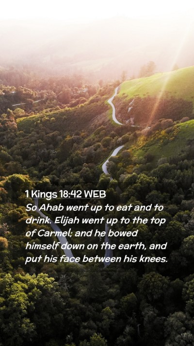 Picture 02 - 1 Kings 18:42 WEB Mobile Phone Wallpaper - So Ahab went up to eat and to drink. Elijah went - Mobile Bible Verse Wallpaper