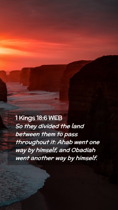 Picture 02 - 1 Kings 18:6 WEB Mobile Phone Wallpaper - So they divided the land between them to pass - Mobile Bible Verse Wallpaper