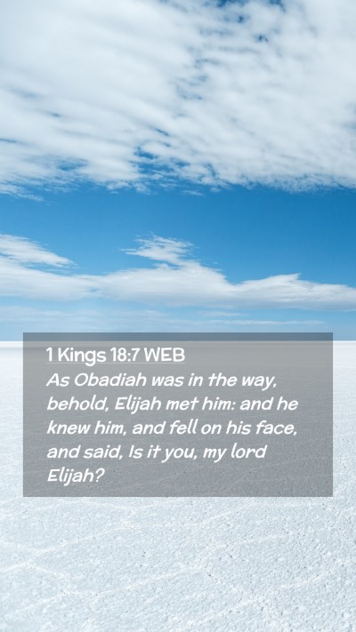 Picture 02 - 1 Kings 18:7 WEB Mobile Phone Wallpaper - As Obadiah was in the way, behold, Elijah met - Mobile Bible Verse Wallpaper