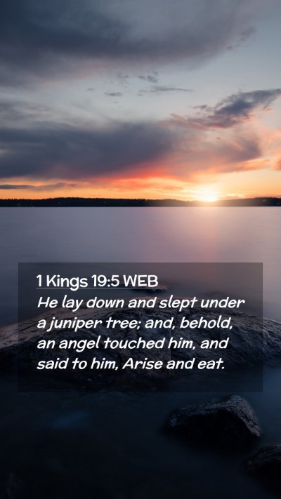 Picture 02 - 1 Kings 19:5 WEB Mobile Phone Wallpaper - He lay down and slept under a juniper tree; and, - Mobile Bible Verse Wallpaper