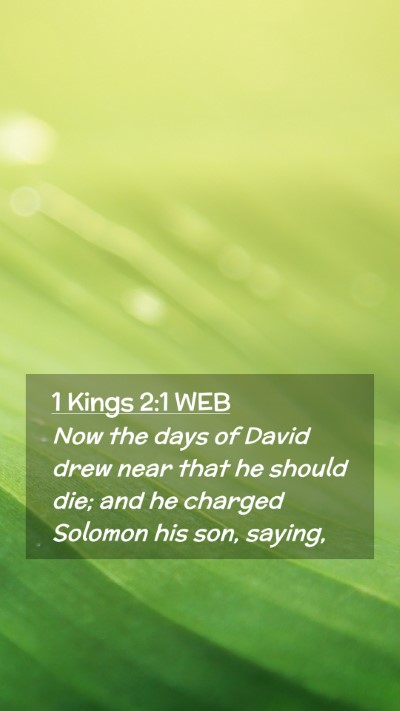 Picture 02 - 1 Kings 2:1 WEB Mobile Phone Wallpaper - Now the days of David drew near that he should - Mobile Bible Verse Wallpaper
