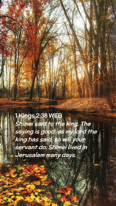 Picture 02 - 1 Kings 2:38 WEB Mobile Phone Wallpaper - Shimei said to the king, The saying is good: as - Mobile Bible Verse Wallpaper