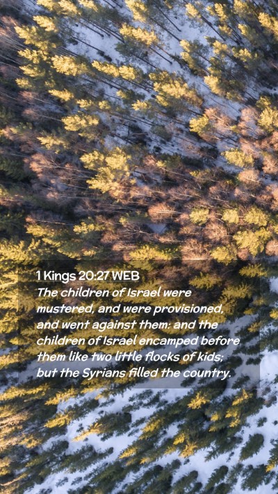 Picture 02 - 1 Kings 20:27 WEB Mobile Phone Wallpaper - The children of Israel were mustered, and were - Mobile Bible Verse Wallpaper