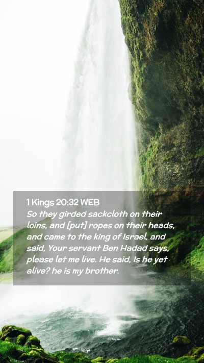 Picture 02 - 1 Kings 20:32 WEB Mobile Phone Wallpaper - So they girded sackcloth on their loins, and - Mobile Bible Verse Wallpaper