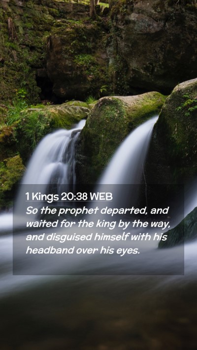 Picture 02 - 1 Kings 20:38 WEB Mobile Phone Wallpaper - So the prophet departed, and waited for the king - Mobile Bible Verse Wallpaper