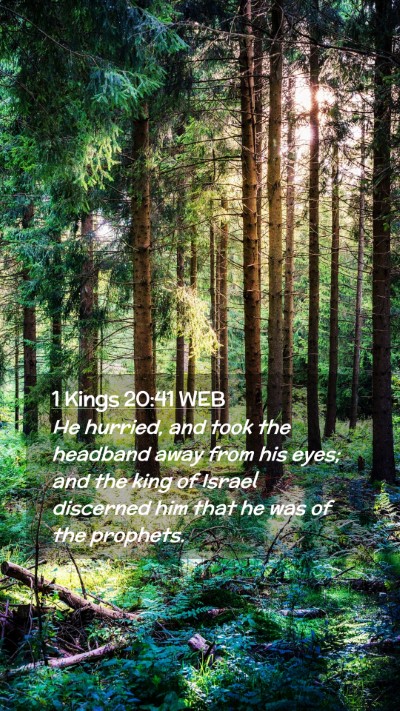Picture 02 - 1 Kings 20:41 WEB Mobile Phone Wallpaper - He hurried, and took the headband away from his - Mobile Bible Verse Wallpaper