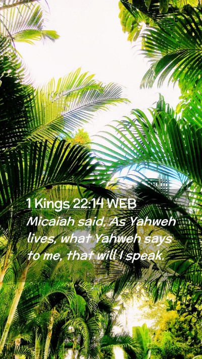 Picture 02 - 1 Kings 22:14 WEB Mobile Phone Wallpaper - Micaiah said, As Yahweh lives, what Yahweh says - Mobile Bible Verse Wallpaper