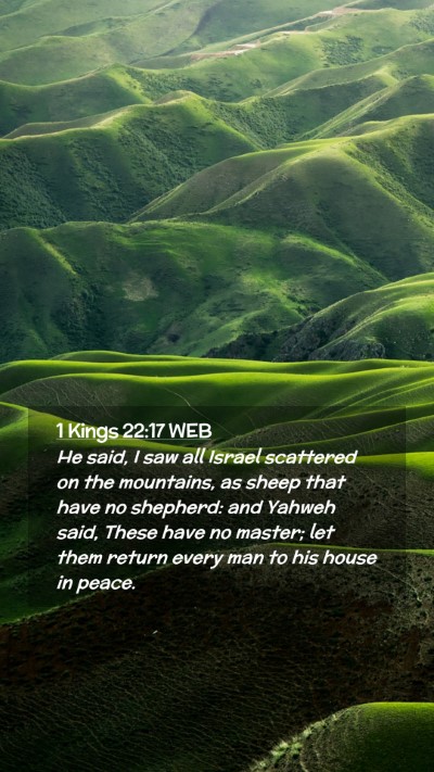 Picture 02 - 1 Kings 22:17 WEB Mobile Phone Wallpaper - He said, I saw all Israel scattered on the - Mobile Bible Verse Wallpaper