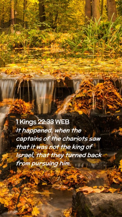 Picture 02 - 1 Kings 22:33 WEB Mobile Phone Wallpaper - It happened, when the captains of the chariots - Mobile Bible Verse Wallpaper