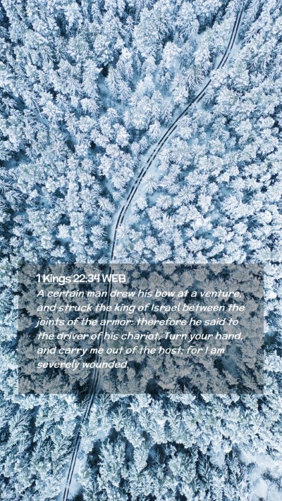 Picture 02 - 1 Kings 22:34 WEB Mobile Phone Wallpaper - A certain man drew his bow at a venture, and - Mobile Bible Verse Wallpaper