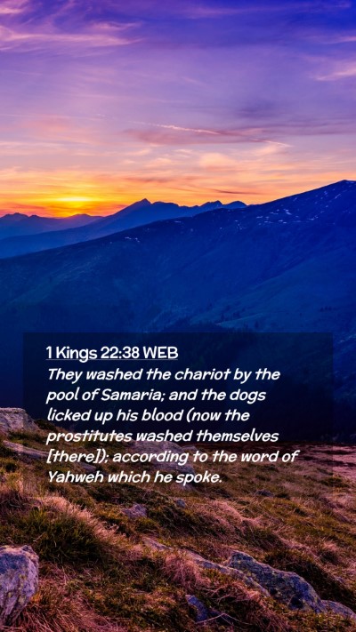 Picture 02 - 1 Kings 22:38 WEB Mobile Phone Wallpaper - They washed the chariot by the pool of Samaria; - Mobile Bible Verse Wallpaper