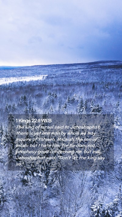 Picture 02 - 1 Kings 22:8 WEB Mobile Phone Wallpaper - The king of Israel said to Jehoshaphat, there is - Mobile Bible Verse Wallpaper