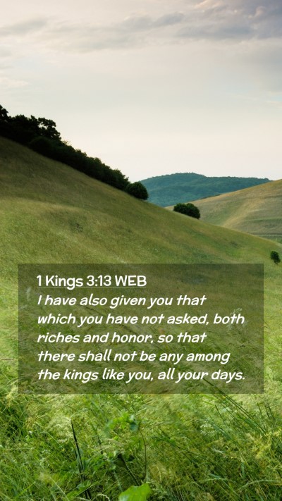 Picture 02 - 1 Kings 3:13 WEB Mobile Phone Wallpaper - I have also given you that which you have not - Mobile Bible Verse Wallpaper