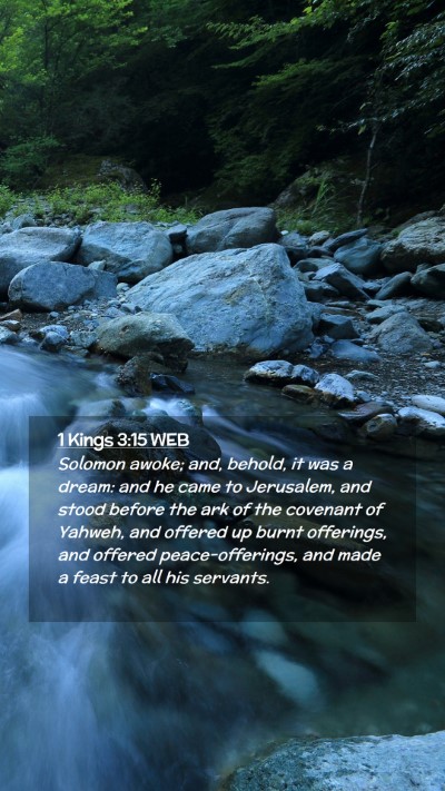 Picture 02 - 1 Kings 3:15 WEB Mobile Phone Wallpaper - Solomon awoke; and, behold, it was a dream: and - Mobile Bible Verse Wallpaper