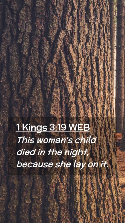 Picture 02 - 1 Kings 3:19 WEB Mobile Phone Wallpaper - This woman's child died in the night, because she - Mobile Bible Verse Wallpaper