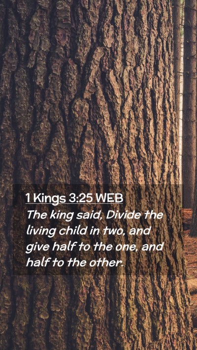 Picture 02 - 1 Kings 3:25 WEB Mobile Phone Wallpaper - The king said, Divide the living child in two, - Mobile Bible Verse Wallpaper