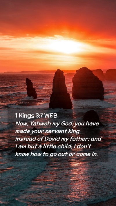 Picture 02 - 1 Kings 3:7 WEB Mobile Phone Wallpaper - Now, Yahweh my God, you have made your servant - Mobile Bible Verse Wallpaper