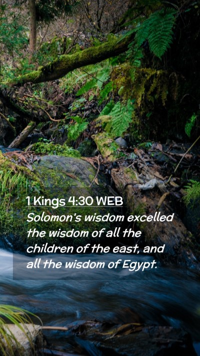 Picture 02 - 1 Kings 4:30 WEB Mobile Phone Wallpaper - Solomon's wisdom excelled the wisdom of all the - Mobile Bible Verse Wallpaper