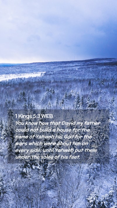Picture 02 - 1 Kings 5:3 WEB Mobile Phone Wallpaper - You know how that David my father could not build - Mobile Bible Verse Wallpaper