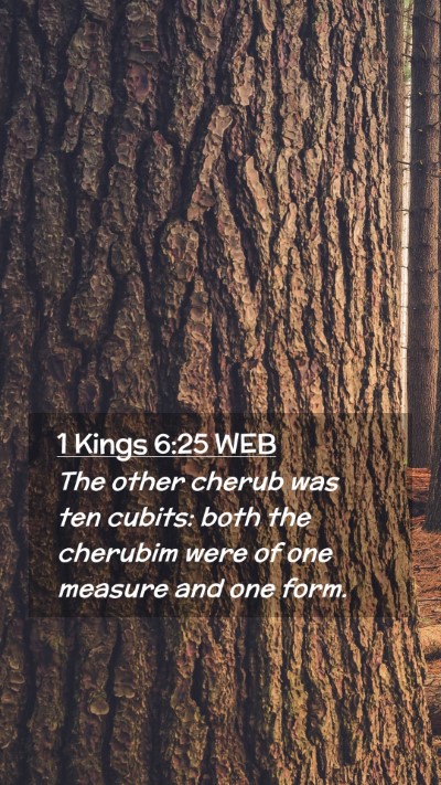 Picture 02 - 1 Kings 6:25 WEB Mobile Phone Wallpaper - The other cherub was ten cubits: both the - Mobile Bible Verse Wallpaper