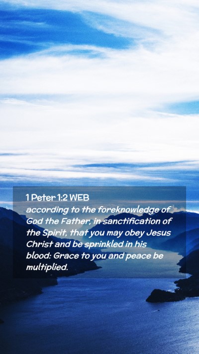 Picture 02 - 1 Peter 1:2 WEB Mobile Phone Wallpaper - according to the foreknowledge of God the Father, - Mobile Bible Verse Wallpaper