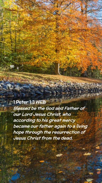 Picture 02 - 1 Peter 1:3 WEB Mobile Phone Wallpaper - Blessed be the God and Father of our Lord Jesus - Mobile Bible Verse Wallpaper