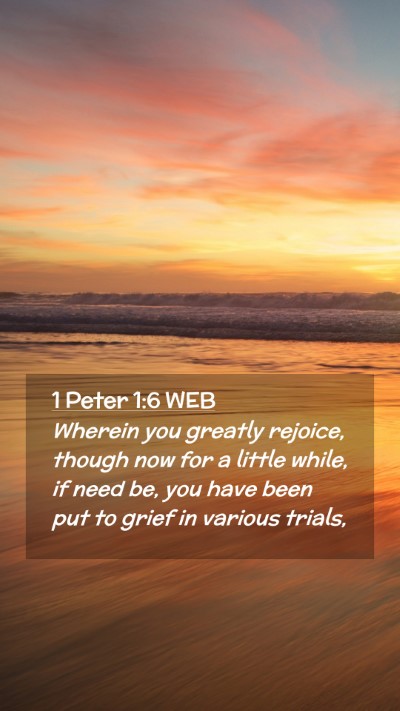 Picture 02 - 1 Peter 1:6 WEB Mobile Phone Wallpaper - Wherein you greatly rejoice, though now for a - Mobile Bible Verse Wallpaper