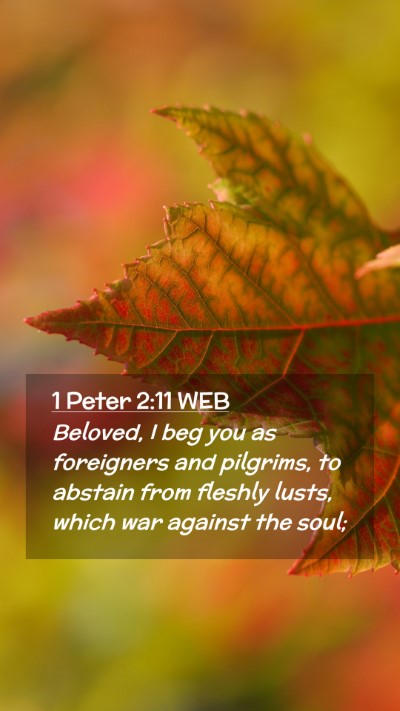 Picture 02 - 1 Peter 2:11 WEB Mobile Phone Wallpaper - Beloved, I beg you as foreigners and pilgrims, to - Mobile Bible Verse Wallpaper