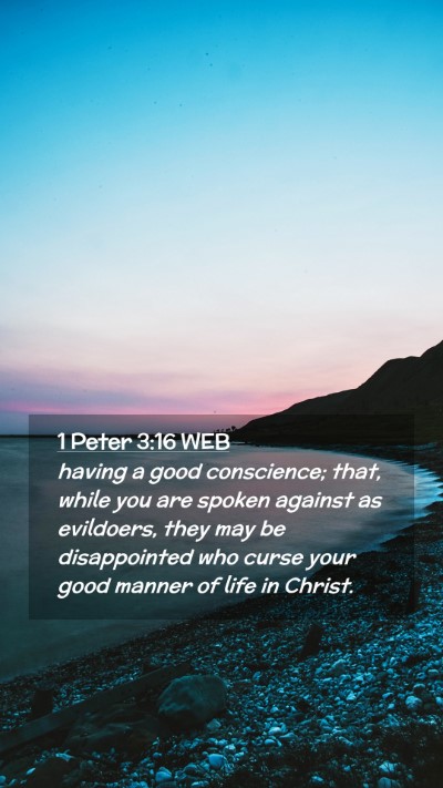 Picture 02 - 1 Peter 3:16 WEB Mobile Phone Wallpaper - having a good conscience; that, while you are - Mobile Bible Verse Wallpaper