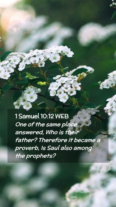 Picture 02 - 1 Samuel 10:12 WEB Mobile Phone Wallpaper - One of the same place answered, Who is their - Mobile Bible Verse Wallpaper