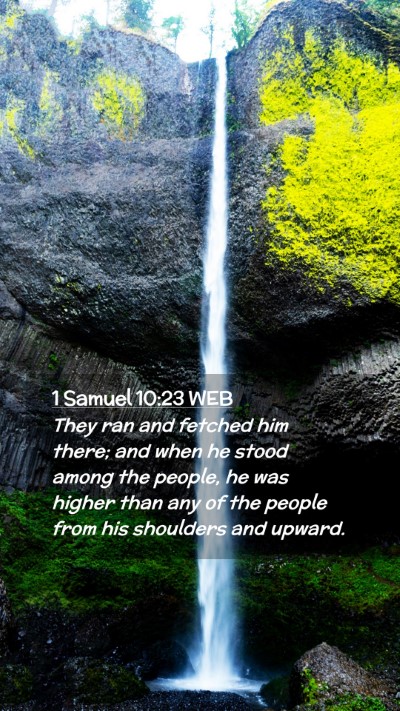 Picture 02 - 1 Samuel 10:23 WEB Mobile Phone Wallpaper - They ran and fetched him there; and when he stood - Mobile Bible Verse Wallpaper