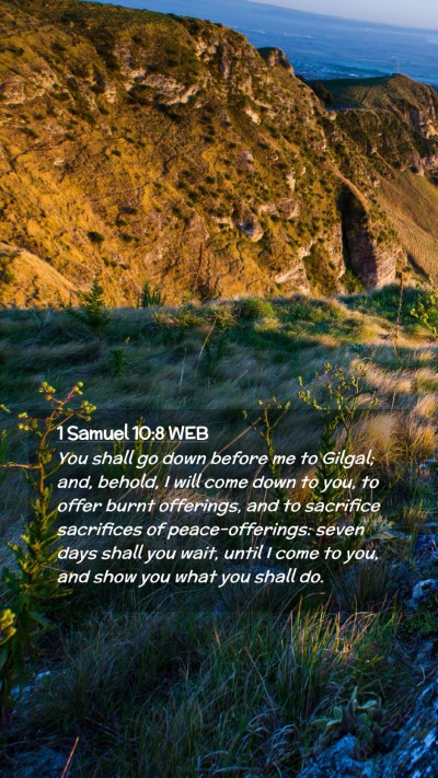Picture 02 - 1 Samuel 10:8 WEB Mobile Phone Wallpaper - You shall go down before me to Gilgal; and, - Mobile Bible Verse Wallpaper