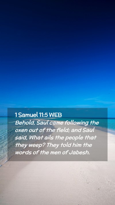 Picture 02 - 1 Samuel 11:5 WEB Mobile Phone Wallpaper - Behold, Saul came following the oxen out of the - Mobile Bible Verse Wallpaper