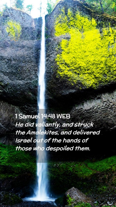Picture 02 - 1 Samuel 14:48 WEB Mobile Phone Wallpaper - He did valiantly, and struck the Amalekites, and - Mobile Bible Verse Wallpaper