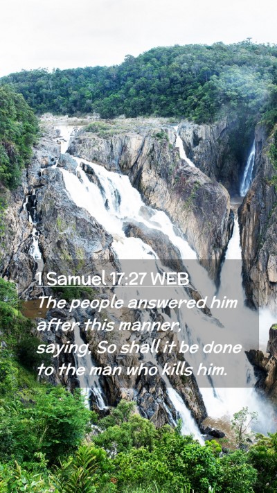 Picture 02 - 1 Samuel 17:27 WEB Mobile Phone Wallpaper - The people answered him after this manner, - Mobile Bible Verse Wallpaper