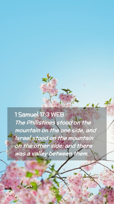 Picture 02 - 1 Samuel 17:3 WEB Mobile Phone Wallpaper - The Philistines stood on the mountain on the one - Mobile Bible Verse Wallpaper