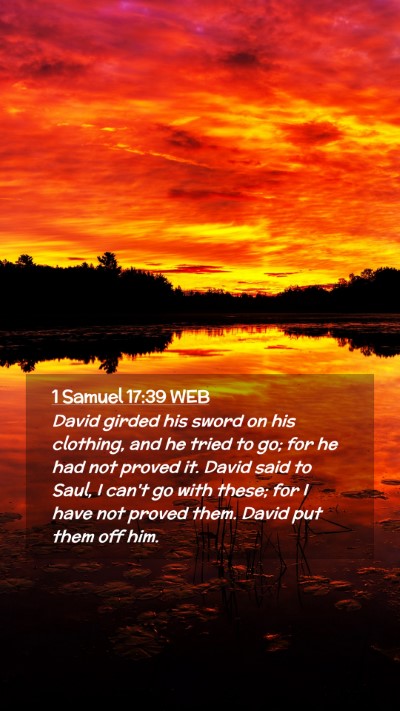 Picture 02 - 1 Samuel 17:39 WEB Mobile Phone Wallpaper - David girded his sword on his clothing, and he - Mobile Bible Verse Wallpaper