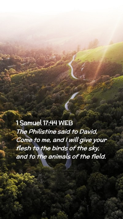 Picture 02 - 1 Samuel 17:44 WEB Mobile Phone Wallpaper - The Philistine said to David, Come to me, and I - Mobile Bible Verse Wallpaper
